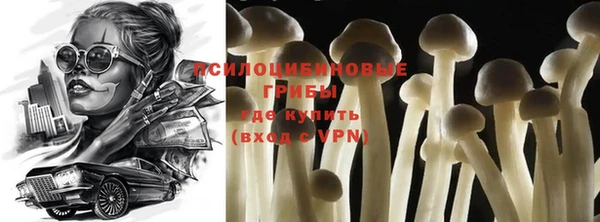 прущие крисы Алексин