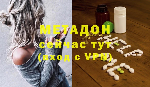 прущие грибы Алзамай