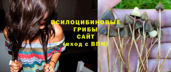 прущие крисы Алексин
