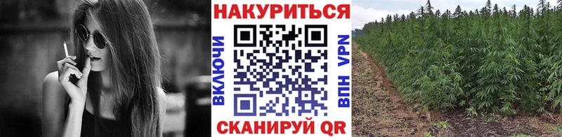 МАРИХУАНА тримм  omg как войти  Нижний Ломов 
